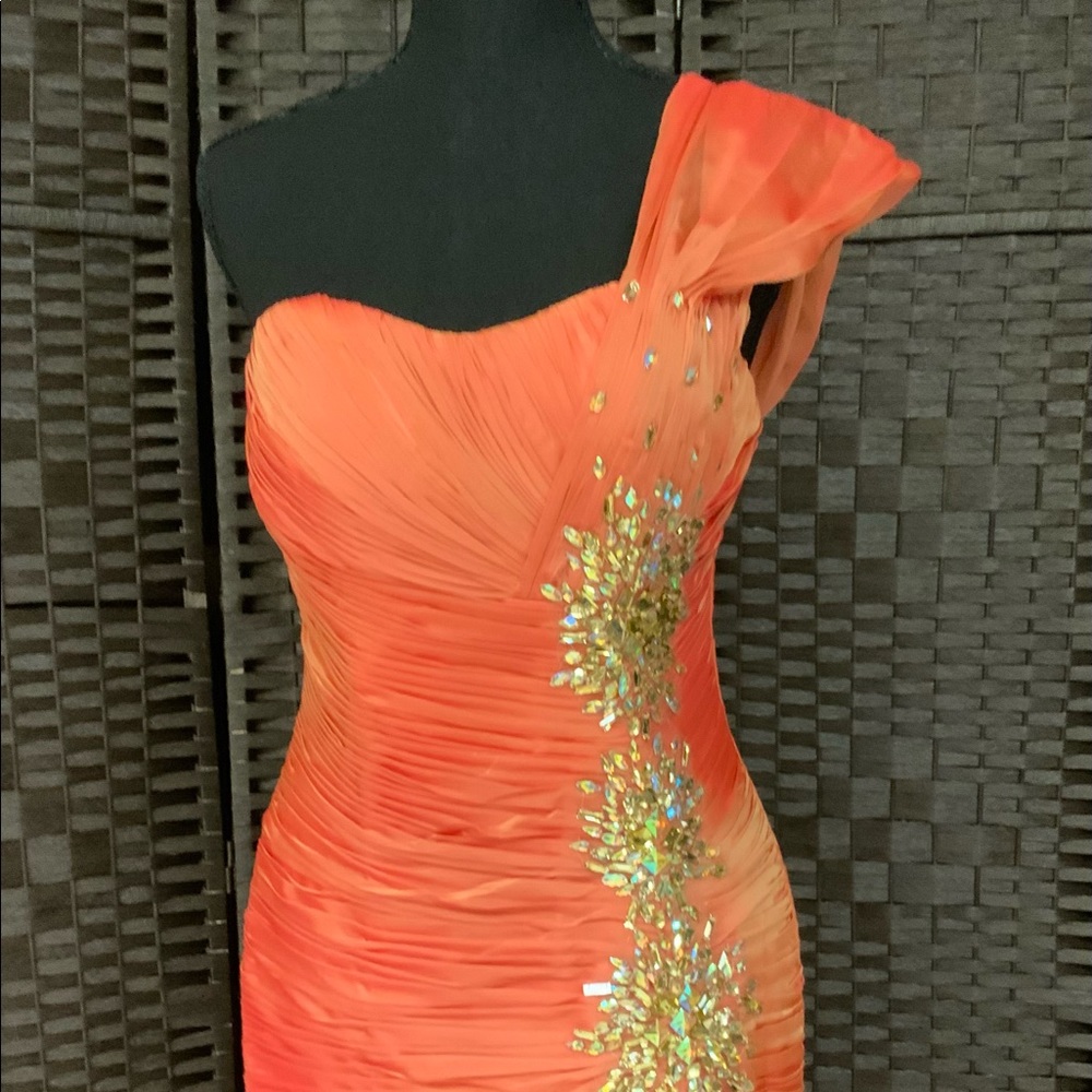 Gorgeous Evening Gown